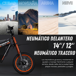 <span class=keywords><strong>Moto</strong></span> tout-terrain électrique Pegasus 2000W 14 pouces, <span class=keywords><strong>moto</strong></span> de descente, batterie au lithium 48V - Product Image 5