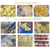 Industriële 100-5000kg/uur volautomatische productielijn voor frites, fabriekslevering, aantrekkelijke prijs, voedselverwerking