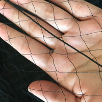 Filet de capture d'oiseaux en nylon de soie coupe-vent 15x15mm 5*20m, filets pour l'attrape-oiseaux, filets pour l'attrape-épervier et le capture de poulets