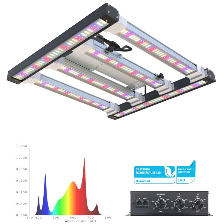 Imagen principal del manual