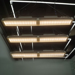 Lampes de culture LED à spectre complet 650W, optimisées PTU pour la croissance hydroponique des choux et de la laitue, à haute efficacité énergétique - Product Image 4