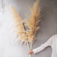 Style bohème mariage et décoration intérieure roseau naturel fleur séchée et herbe de pampa pour Noël et fête des mères