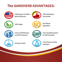GANOHERB Vente en gros de tisanes parfumées Reishi Mushroom Osmanthus Thé noir
