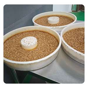 תולעי דג זהב תולעי בשר מיובש מזון עבור Koi המלך באטה קישוטי שרימפס עבור חזיר בקר סוס כלב ארוז קרטון ארוז - Product Image 4