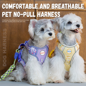Harnais réfléchissant pour animaux de compagnie, gilet réglable en nylon et maille pour chien et chat avec laisse pour la promenade en extérieur - Product Image 2
