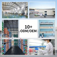 Glucoamylase de qualité supérieure pour la dégradation des amidons (Poudre 10 milliards UFC/g Certifiée ISO) – Optimise l'efficacité de la fermentation pour l'alcool