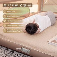 Pompe à air intégrée rechargeable du fabricant, pompe à air automatique intégrée pour lit gonflable, matelas pneumatique