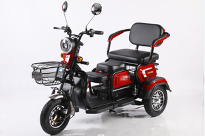 Vélo électrique à trois <span class=keywords><strong>roues</strong></span>, nouveau tricycle électrique (offre spéciale), vélo électrique de route à <span class=keywords><strong>3</strong></span> <span class=keywords><strong>roues</strong></span>, écran LED, 60V, ouvert pour passagers, 30-50 km - Product Image 5