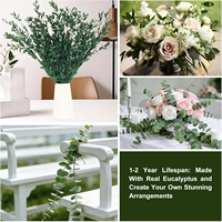 Liviflo Feuilles d'Eucalyptus Cinerea Naturelles Préservées, Feuilles Séchées 'Silver Dollar' avec Préservation à la Glycérine, pour Décoration Éternelle Maison et Mariage