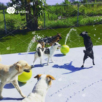 Système de jeux aquatiques commerciaux pour chiens, avec poteau de pulvérisation de balles de tennis, kit de parc aquatique pour animaux de compagnie, équipement de jeux aquatiques pour aire de jeux