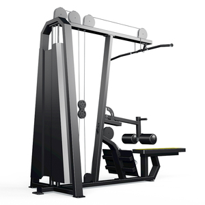Shandong Bodybuilding Commercial Fitness Gym Equipment Lat Pulldown & Low Row Machine - Product Image 2
