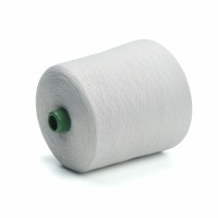 Dyed 16s 21s 30s 32s 40s Spun Yarn China Manufacturers Spun Polyester Yarn for Knitting Socks