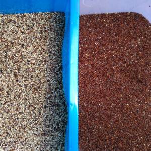 Selezionatrice Ottica a 3 Canali RGB per Riso, Chicchi di Caffè, Granaglie, Lenticchie e Semi con Telecamera CCD - Product Image 5