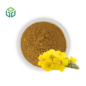 Extrato em Pó de Folha e Flor de Verbascum Thapsus (Mullein) Cru 10:1 Grau Alimentício Suplementos Naturais Embalagem em Tambor - Product Image 1