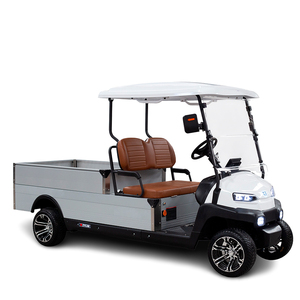 Camioneta Mini Nueva Marca ZYCAR 2025 para Hotel, Carro de Golf - Product Image 1