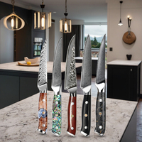 Vente chaude Premium 67 couches ensemble de couteaux à Steak en acier damas 4/5/6 pièces pour hôtels et couteaux de cuisine de table occidentaux