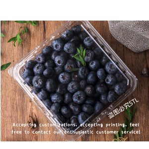 Caixa de Embalagem para Frutas Frescas Personalizada de Fábrica a Preço Acessível, Caixa Clamshell, Recipiente de Plástico para Mirtilos - Product Image 6