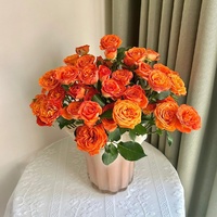 Buket Mawar Gelembung Multi-Kepala Fairy's Kiss Model 1 Kunming Yunnan Base Pengiriman Ekspres Hadiah Sempurna untuk Hari Guru