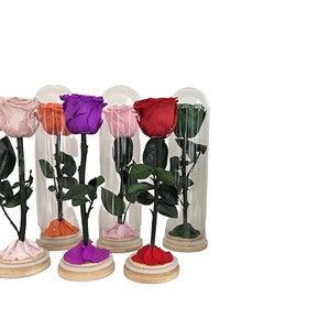 Décoration de maison Rose préservée longue <span class=keywords><strong>tige</strong></span> <span class=keywords><strong>avec</strong></span> feuilles dans un dôme <span class=keywords><strong>en</strong></span> <span class=keywords><strong>verre</strong></span> pour la Saint-Valentin et la fête des mères cadeaux fournitures de décoration de mariage - Product Image 1