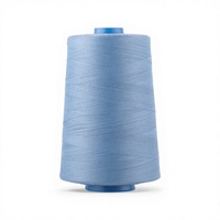Fils à broder en cônes écologiques haute ténacité faible rétrécissement 40s/2 5000 yards 100% polyester filé certifié Oeko-Tex pour la couture