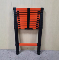 Échelle télescopique portable en aluminium/fer pour la maison, la construction et l'entrepôt - Vente en gros