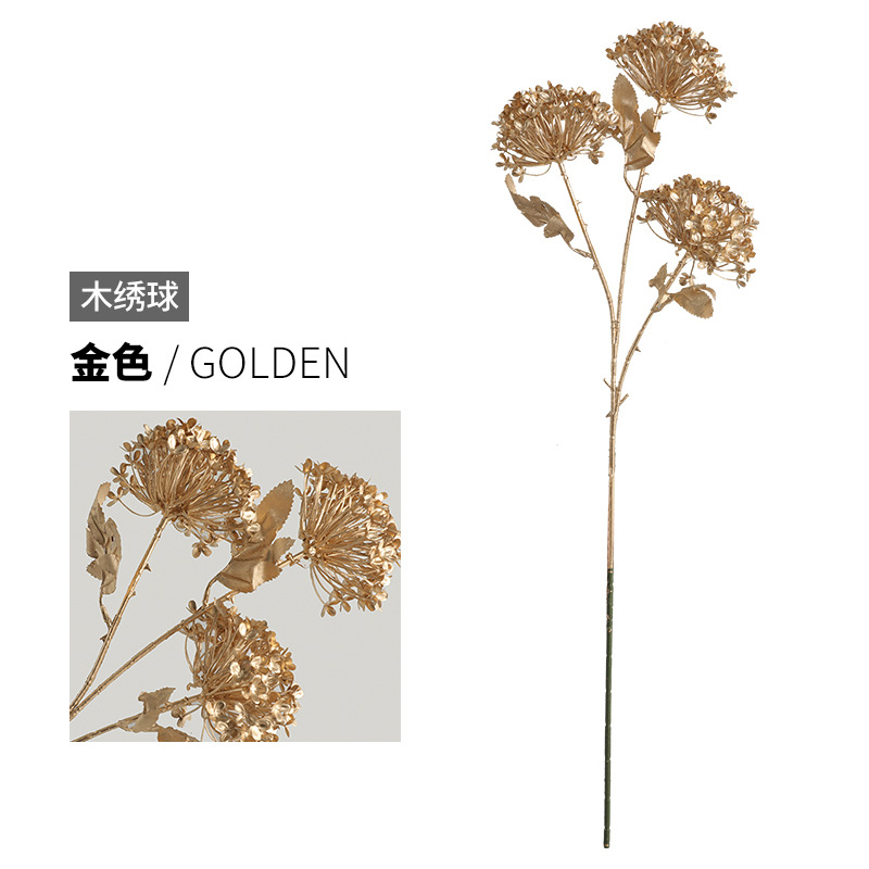 wood hydrangea