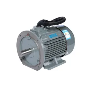 Top Sale 3 Phase 380V 11Kw 15 Kw Electric Motor For Screw Air Compressor