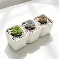 Pots à plantes succulentes, pots de pépinière en plastique pour cactus, petites plantes, décoration de bureau à domicile