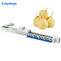 Hoog Efficiënte Fruit & Groente Sorteer- en Classificeermachine, AI-gebaseerde Classificatie, Hoge Snelheid Sorteren, Touchscreen Besturing, 1 Jaar Garantie