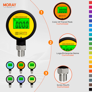 เครื่องวัดความดันแบบดิจิตอล LCD ME260P Moray เซ็นเซอร์ความดัน250bar ทั่วไปมีความแม่นยำสูง - Product Image 5