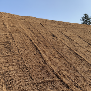 TAPIS NOIX DE COCO PRIX PAS CHER/FIBRE DE NOIX DE COCO/FILET DE NOIX DE COCO DU VIET NAM - Product Image 1