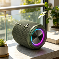 Équipement audio sans fil IPX7 5.3, étanche, éclairage LED RGB, enceinte portable
