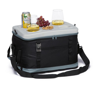 Bolsa Térmica Plegable Portátil para Picnic, Mantiene la Comida Fresca, Bolsa Térmica Personalizada con Logotipo para Deportes al Aire Libre y Senderismo - Product Image 1