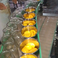 Leadworld Professionele Aangepaste Ingeblikte Ananas/Gele Perzik/Abrikozenmachine Automatische Fruitproductieproceslijn