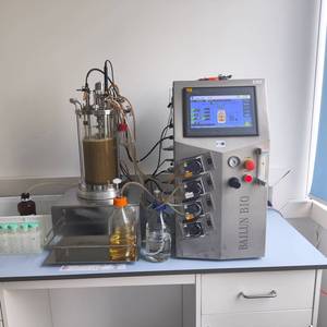 Fermentadores de biorreactores de fermentación de control de bioprocesos Bailun 5L de 1 a 10 litros para cultivos celulares adherentes y en suspensión de 1 a 2 litros - Product Image 5