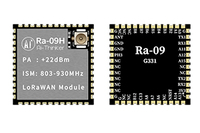 Module sans fil LoRa à spectre étalé Ra-09H prenant en charge le protocole LoRaWAN, puce STM32WLE5CCU6