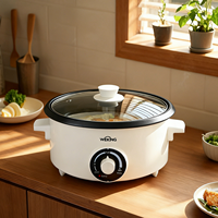 Nouveaux produits : Marmite électrique 3L avec réglage de la chaleur, appareils de cuisine, couleur personnalisée, couvercle en verre trempé pour usage domestique
