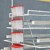 Équipement d'élevage avicole : Cages à poules pondeuses à étages, cages de type A pour poules pondeuses, équipement de batterie d'élevage