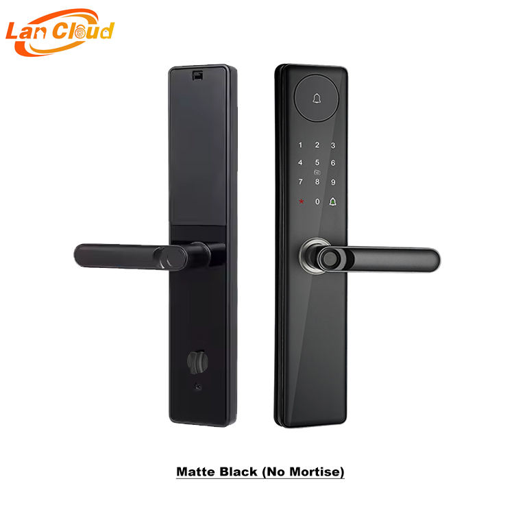 สีดำด้าน