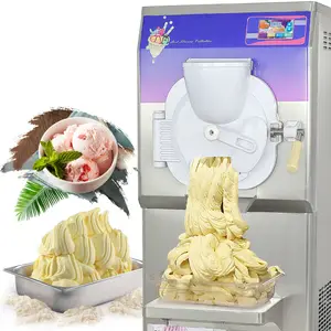 ETL CE Kolice 48L macchina per la produzione di gelato duro di grande produzione/congelatore continuo orizzontale in lotti/macchina per gelato