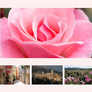 Petitra Anti-Aging Skin Repair EGF Peptide <b>Face</b> <b>Serum</b> for Home Use - Product Image 5