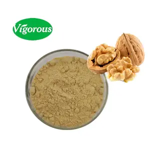 Extrait de noix en poudre de fruits ISO juglans rega, extrait de noix biologique 10:1 pour la santé alimentaire