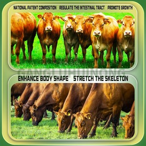 OEM thức ăn phụ gia premix thức ăn chăn nuôi Phụ gia tăng trọng lượng bổ sung tăng trưởng promoters tăng cân cho gia súc và cừu - Product Image 3