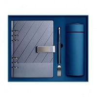 Offre promotionnelle en gros : Carnet de notes A5 exécutif et ensemble stylo avec clip magnétique, stylo bille et clé USB – Cadeau idéal