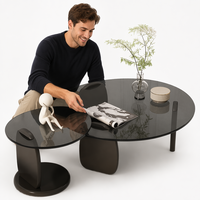 Table basse en verre trempé moderne et créative Modhomi, ensemble de tables d'appoint de luxe pour petit salon ou canapé