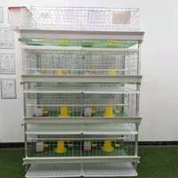 Équipement Automatique d'Élevage de Poulets Fabricants de Cages Verticales Galvanisées Approvisionnement Direct sur Stock