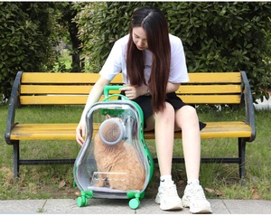 बड़ी एयरलाइन ने बिल्लियों और कुत्तों के लिए पालतू जानवरों के सामान वाटरप्रूफ पालतू जानवर वाहक बैकपैक - Product Image 4