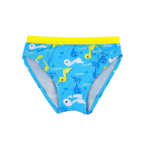 Slip per bambini Buonic con stampa di dinosauri, fascia in vita blu e gialla, taglie da 6/12 a 30/36 per biancheria intima da ragazzo - Product Image 1