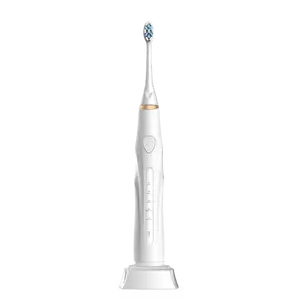 Rechargeable Battery Operated Tooth Brush Smart Toothbrush Sets Custom Wholesale Sonic Automatic Electric Toothbrush