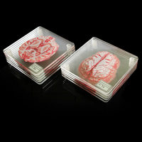 Sous-verre en acrylique et dessous de plat à thème Halloween, avec motifs éclaboussures de sang, cérébral floral et démons mort-vifs, cadeau de fête, fabriqué en Chine